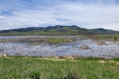 Stagecoach-State-Park-marsh