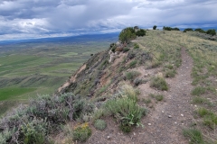 Sterns-Trail-at-Cedar-Mtn-Cover-maybe