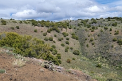 Sterns-Trail-at-Cedar-Mtn-top-of-the-bowl