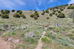 Sterns-Trail-at-Mt-Cedar-center-of-the-bowl
