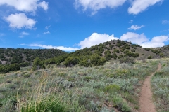Sterns-Trail-at-Mt-Cedar-entering-the-bowl