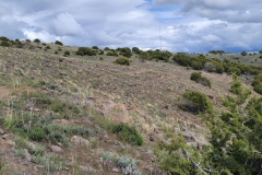 Sterns-Trail-at-Mt-Cedar-inner-way-up-to-ridge