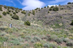Sterns-Trail-at-Mt-Cedar-inside-of-bowl-looking-up