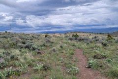 Sterns-Trail-at-Mt-Cedar-narrow-trail-near-the-top