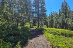 Sumpter-Valley-Railroad-Site-Green-Trail