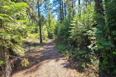 Sumpter-Valley-Railroad-Site-Tunnel-Trail