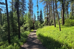 Sumpter-Valley-Railroad-Site-wide-trail