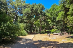 Switzer-Falls-Open-near-start