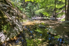 Switzer-Falls-creek-crossing