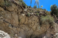 Switzer-Falls-grotto-wall