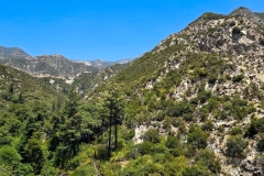 Switzer-Falls-upper-wide