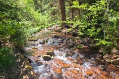 Sylvan-Lake-Loop-back-half-creek
