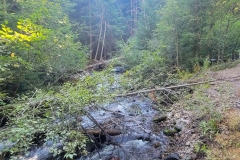 Tamanawas-Falls-creek-with-blowdown