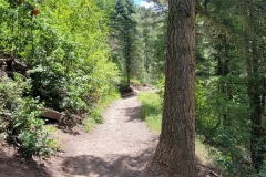 Treasure-Falls-early-trail