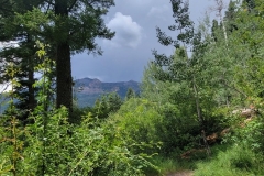 Treasure-Falls-storm-through-trees