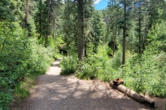Treasure-Falls-trail-2