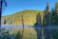 Trillium-Lake-hike-spear-tree-out-of-lake