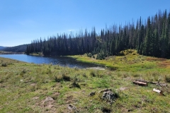 Trujillo-Meadow-Reservoir-east-fork-meadow