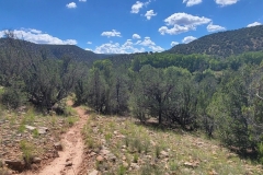 VIllanueva-Lookout-Point-trail-through-the-trees