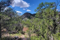 Villanueva-Lookout-Point-Hill-between-trees