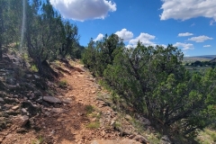 Villanueva-Lookout-Point-rocky-trail-early
