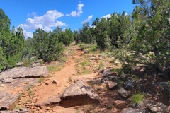 Villanueva-Lookout-Point-steep-trail
