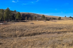 Prairie-Vista-Trail-low-beginning