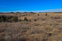 Wind-Cave-Prairie-View-Long-View-with-trees