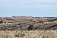 Wind-Cave-Prairie-Vista-Long-Meadow-View