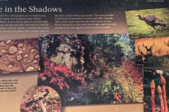 Wind-Cave-Prairie-Vista-Trail-Life-in-Shadow-Info-Graphic