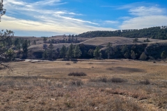 Wind-Cave-Prairie-Vista-Trail-looking-back-at-road