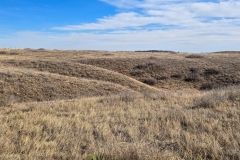 Wind-Cave-Prairie-Vista-Trail-rolling-meadows