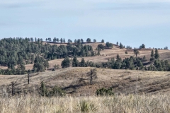 Wind-Cave-Prairie-Vista-Trail-tree-speckled-hills