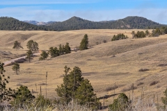 Wind-Cave-prairie-Trail-Tree-Covered-Hills