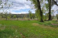 Yampa-River-State-Park-Green-picnic-space