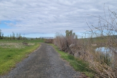 Yampa-River-State-Park-Open-Road