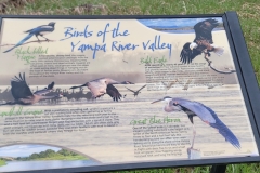 Yampa-River-State-Park-Sinage-Birds