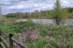 Yampa-River-State-Park-Up-Stream