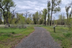 Yampa-River-State-Park-trail-through-woods-early