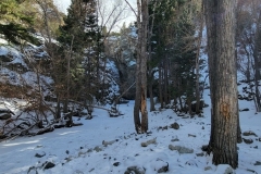 Zapata-Falls-Frozen-Creek-in-the-woods