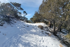 Zapata-Falls-Leaving-Snowy-Trail-sun-burst