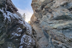 Zapata-Falls-Looking-up-into-the-creek