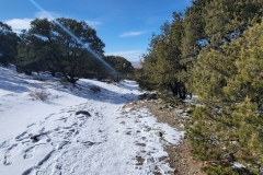 Zapata-Falls-Snowy-Trail-Long-Shot