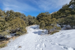 Zapata-Falls-early-snowy-trail